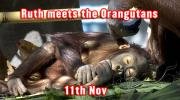 Ruth meets the Orangutans